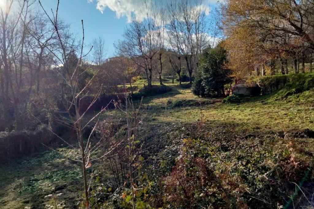 Confort, Fun And Leisure In Douro Rural Space Sande  Экстерьер фото