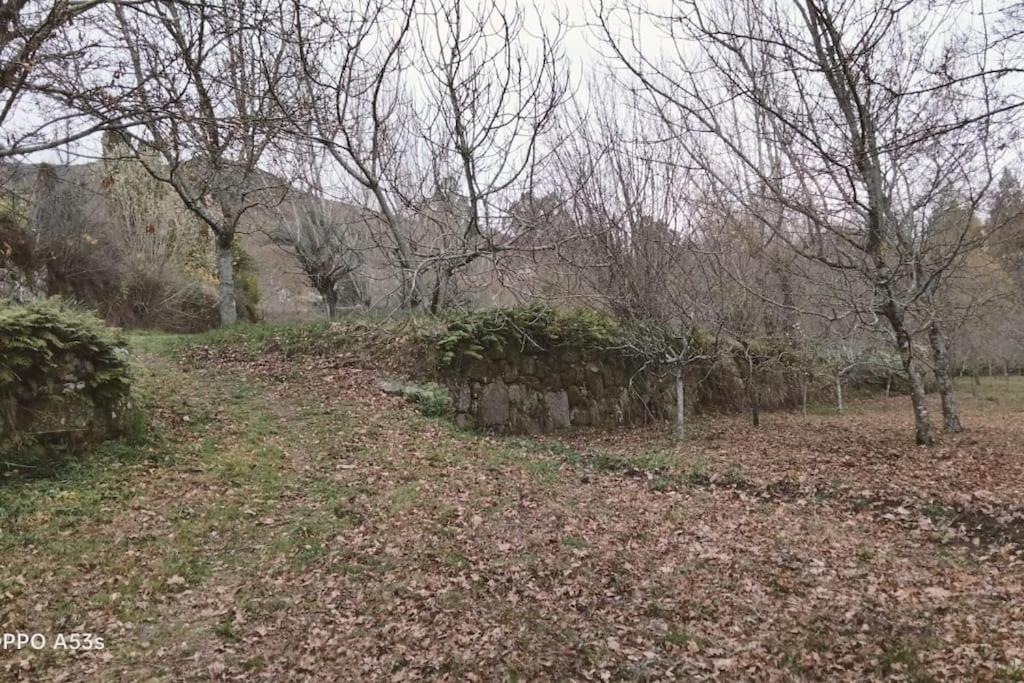 Confort, Fun And Leisure In Douro Rural Space Sande  Экстерьер фото