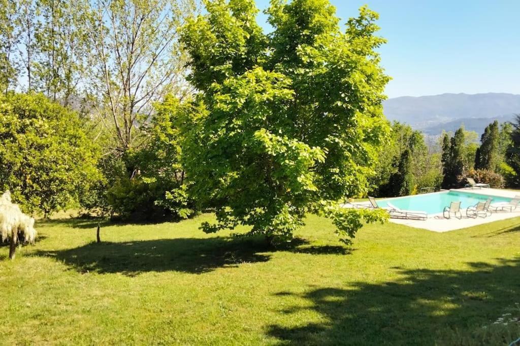 Confort, Fun And Leisure In Douro Rural Space Sande  Экстерьер фото