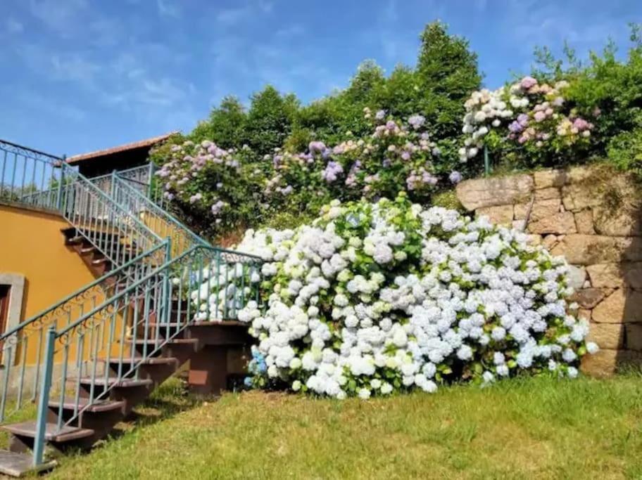 Confort, Fun And Leisure In Douro Rural Space Sande  Экстерьер фото
